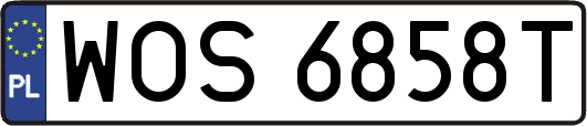 WOS6858T