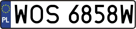 WOS6858W