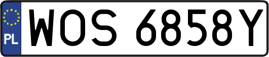 WOS6858Y