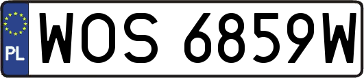 WOS6859W