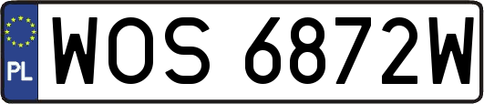 WOS6872W