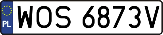 WOS6873V