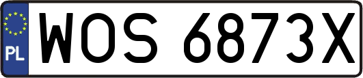 WOS6873X