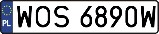 WOS6890W