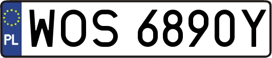 WOS6890Y