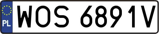 WOS6891V