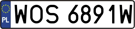 WOS6891W