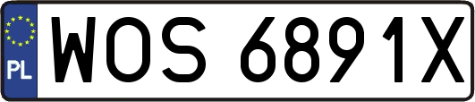 WOS6891X