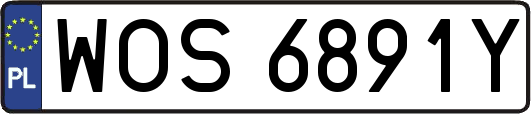WOS6891Y