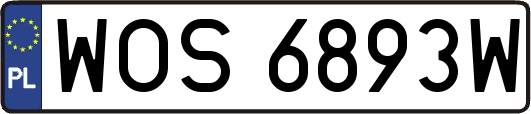 WOS6893W