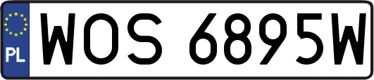 WOS6895W