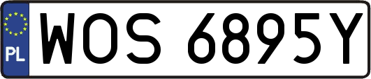 WOS6895Y