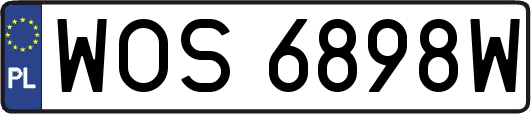 WOS6898W