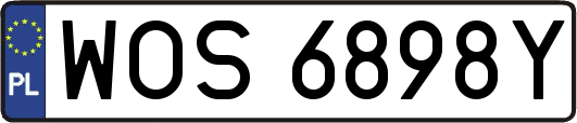 WOS6898Y