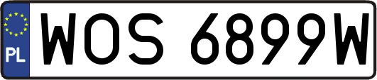 WOS6899W