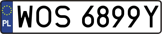 WOS6899Y