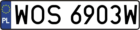 WOS6903W