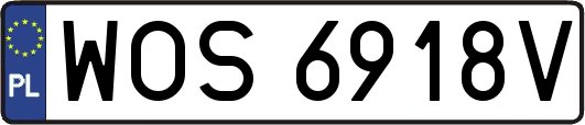 WOS6918V