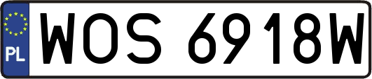 WOS6918W