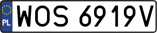 WOS6919V