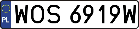 WOS6919W