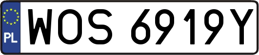 WOS6919Y
