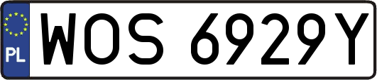 WOS6929Y