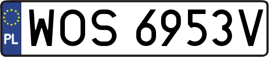 WOS6953V