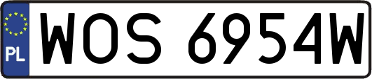 WOS6954W
