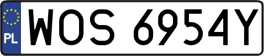 WOS6954Y