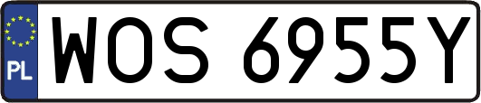 WOS6955Y