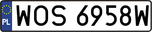 WOS6958W