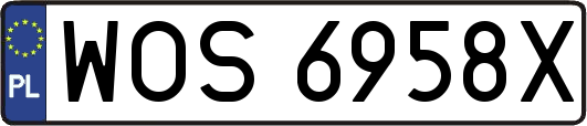 WOS6958X