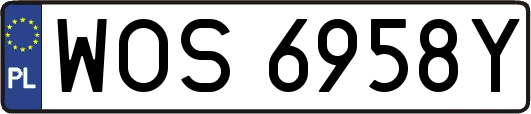 WOS6958Y