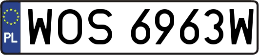 WOS6963W