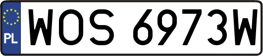WOS6973W