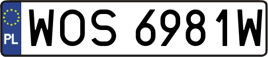 WOS6981W