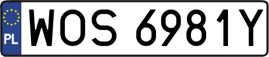 WOS6981Y