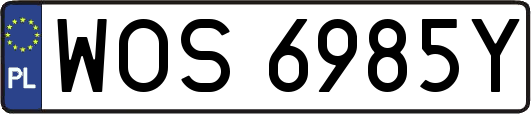 WOS6985Y
