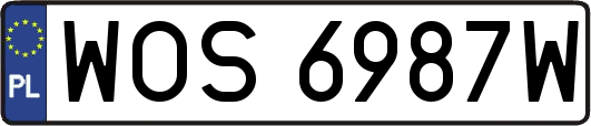 WOS6987W