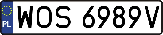 WOS6989V