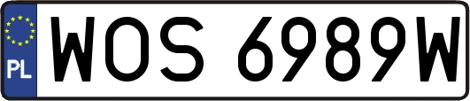 WOS6989W