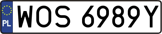 WOS6989Y