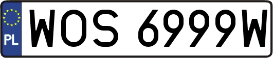 WOS6999W