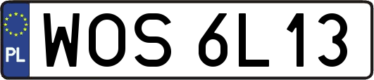 WOS6L13