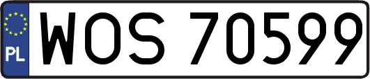 WOS70599