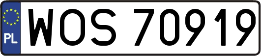 WOS70919