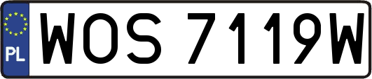WOS7119W