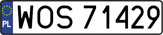 WOS71429