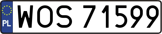 WOS71599